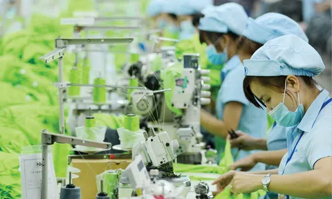 Tiêu chuẩn xanh và bài toán nâng sức cạnh tranh cho doanh nghiệp
