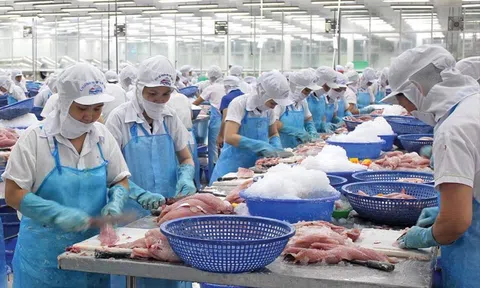 Xuất khẩu thủy sản sang Canada tăng trưởng, sản phẩm Việt ngày càng đa dạng