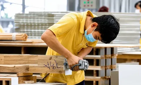 Thị trường trong nước mở rộng, doanh nghiệp gỗ, thép phải nâng sức cạnh tranh