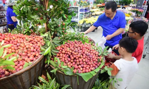 Nông sản Việt trước áp lực thay đổi tiêu chuẩn tại các thị trường lớn