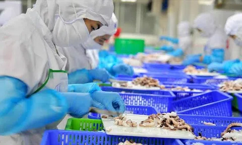 Gỡ bất cập chính sách thuế để giảm chi phí cho doanh nghiệp thủy sản