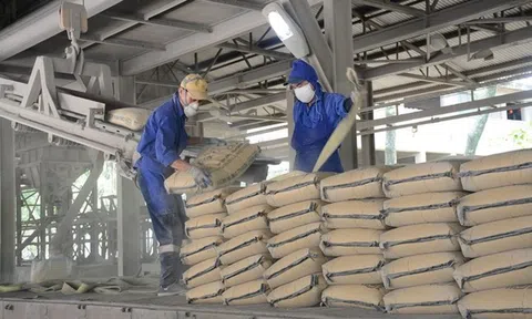 Ngành xi măng tìm lời giải cho bài toán phát thải và hạn ngạch carbon