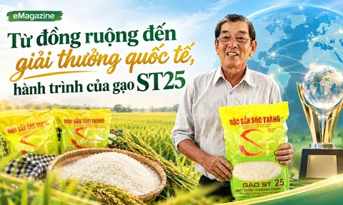 [eMagazine] Từ đồng ruộng đến giải thưởng quốc tế, hành trình của gạo ST25
