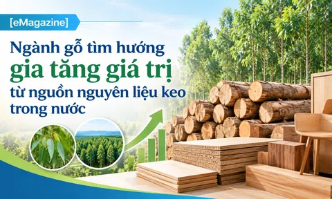 [eMagazine] Ngành gỗ tìm hướng gia tăng giá trị từ nguồn nguyên liệu keo trong nước