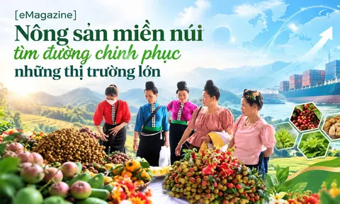 [eMagazine] Nông sản miền núi tìm đường chinh phục những thị trường lớn