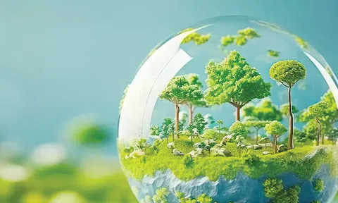 260 triệu tấn CO2 được ngăn ngừa từ nỗ lực bảo vệ tầng ô-dôn