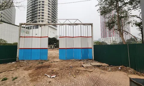 Đề xuất áp thuế 0,2% với đất bỏ hoang, tránh lãng phí nguồn lực đất đai