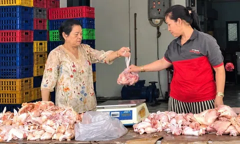 Thịt nhập khẩu gia tăng, ngành chăn nuôi tìm hướng nâng sức cạnh tranh