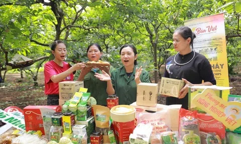 Tìm lời giải cho bài toán tiêu thụ nông sản qua sàn giao dịch quốc gia