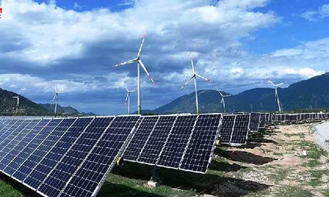 Trung Nam Group đề xuất khảo sát 18.600ha biển La Gi, mở rộng danh mục đầu tư điện gió ngoài khơi