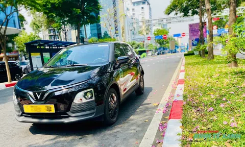 Áp lực giá xăng, tín dụng xanh bùng nổ: Cơ hội cho thị trường xe điện và ngân hàng