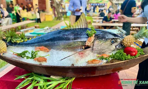 Theo nhịp “dòng chảy ba miền” tại Lễ hội Văn hóa Ẩm thực 2026