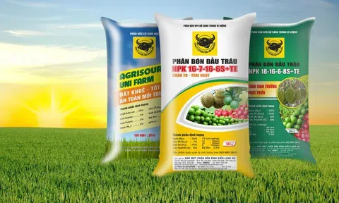 ĐHĐCĐ 2026: Phân bón Bình Điền đặt mục tiêu doanh thu gần 11.000 tỷ đồng, lợi nhuận trước thuế hơn 300 tỷ đồng