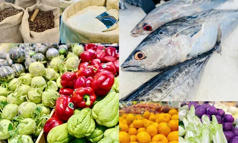 Nông lâm thủy sản Việt Nam tăng tốc kiến tạo giá trị tỷ đô bằng thương hiệu xanh