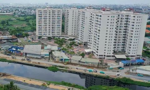 Gần 100.000 căn nhà cho thuê được doanh nghiệp đăng ký, vượt mục tiêu TP.HCM đặt ra 