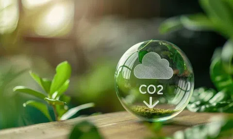Sẵn sàng đưa sàn giao dịch carbon trong nước vào hoạt động từ ngày 29/6