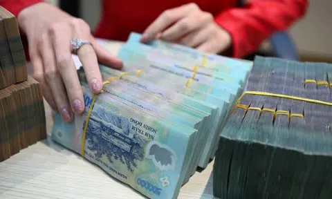 Cục Thuế yêu cầu triển khai chính sách gia hạn thuế và tiền thuê đất theo Nghị định 245