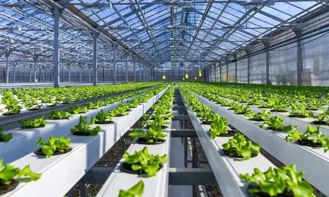 TP.HCM thành lập 7 Khu Nông nghiệp công nghệ cao quy mô hơn 1.700 ha