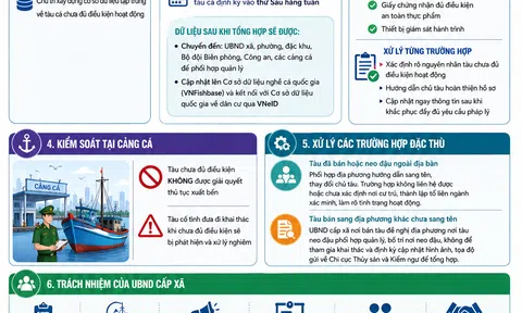 [Inforgraphic] TP.HCM tăng cường kiểm soát tàu cá chưa đủ điều kiện, ngăn chặn khai thác thủy sản trái phép