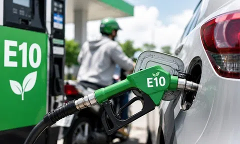 Thêm 6 doanh nghiệp tham gia pha chế xăng E10 trong tháng 7