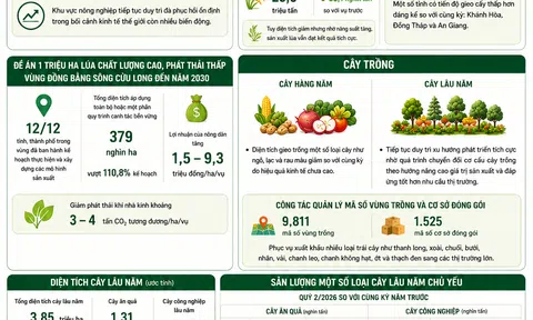 Nông nghiệp Việt Nam tăng 3,87% trong 6 tháng đầu năm 2026