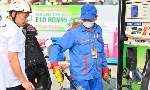 Xăng E10 áp đảo thị trường, nguồn ethanol vẫn phụ thuộc nhập khẩu