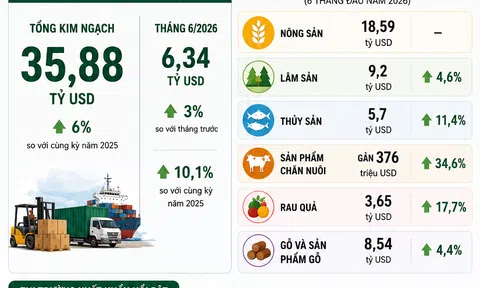 Xuất khẩu nông, lâm, thủy sản Việt Nam đạt 35,88 tỷ USD sau nửa đầu năm 2026
