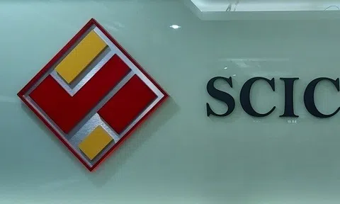 SCIC thu hơn 8.400 tỷ đồng cổ tức, Vinamilk tiếp tục dẫn đầu đóng góp
