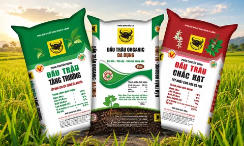 Phân bón Bình Điền chốt quyền nhận cổ tức tiền mặt tỷ lệ 35%