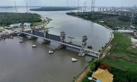 TP.HCM xây dựng bộ chỉ số giám sát thích ứng biến đổi khí hậu trên toàn địa bàn
