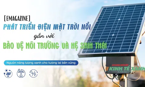 Phát triển điện mặt trời nổi gắn với bảo vệ môi trường và hệ sinh thái