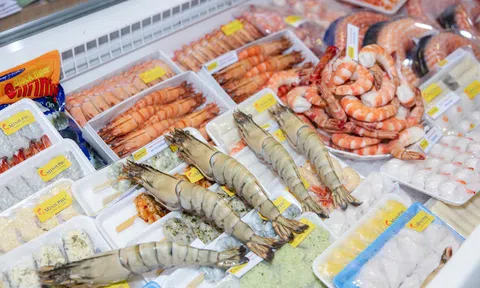 VIETFISH 2026 mở rộng thị trường, nâng chuẩn xanh cho thủy sản Việt