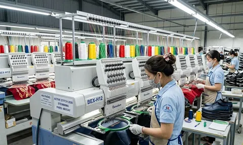 Xuất khẩu dệt may Việt Nam đạt hơn 27 tỷ USD sau 7 tháng đầu năm 2026