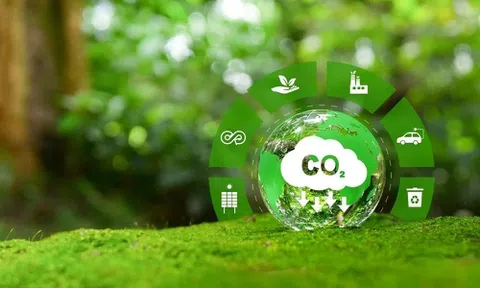 Bốn tiêu chí quyết định sức hút của dự án carbon