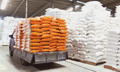 Xuất khẩu hàng đầu thế giới, Việt Nam vẫn chi gần 800 triệu USD nhập khẩu gạo