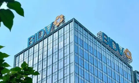 BIDV nâng vốn điều lệ lên hơn 77.700 tỷ đồng sau phát hành gần 500 triệu cổ phiếu
