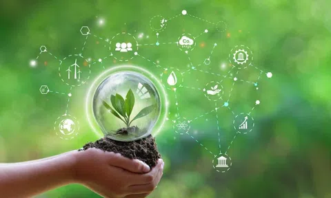 Tháo gỡ vướng mắc cho doanh nghiệp trong lĩnh vực tài nguyên, môi trường