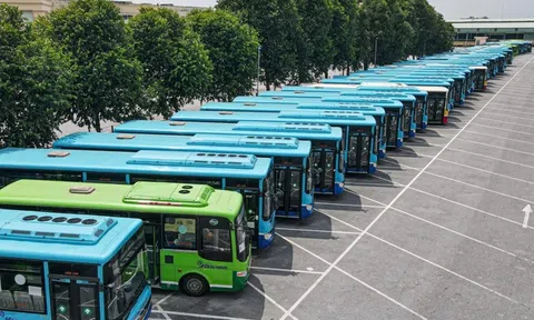Đà Nẵng đẩy nhanh xanh hóa xe buýt, hướng tới 100% năng lượng sạch