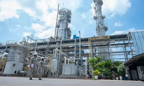 Một doanh nghiệp phân bón được vinh danh trong Top 50 doanh nghiệp dẫn đầu ESG Việt Nam 2026