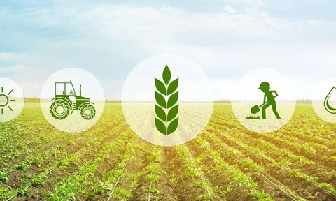 Hỗ trợ phí bảo hiểm nông nghiệp tối đa 95% từ ngày 20/10