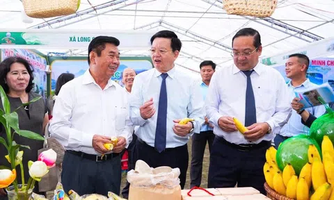 Tây Ninh thúc đẩy chuỗi giá trị, mở rộng thị trường nông sản