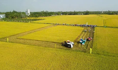 Tây Ninh đưa khoa học công nghệ vào chuỗi giá trị nông sản