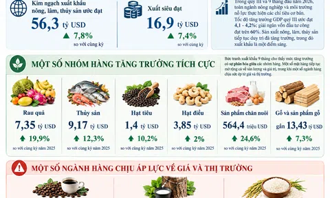 Xuất khẩu nông, lâm, thủy sản 9 tháng đạt 56,3 tỷ USD