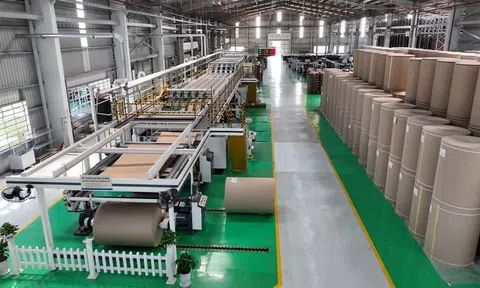 Bao bì xanh đón lực đẩy từ tiêu dùng và thị trường xuất khẩu