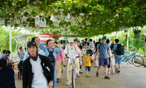TP.HCM kết nối sản phẩm OCOP với du lịch nông nghiệp