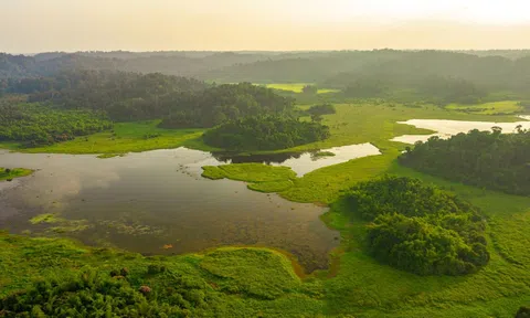 Lâm Đồng đề xuất chuyển hơn 272 km² Vườn quốc gia Cát Tiên về Đồng Nai quản lý