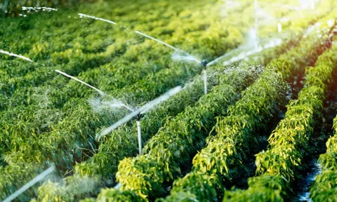 TP.HCM xúc tiến thương mại nông nghiệp xanh tại GREEN EXPO 2027