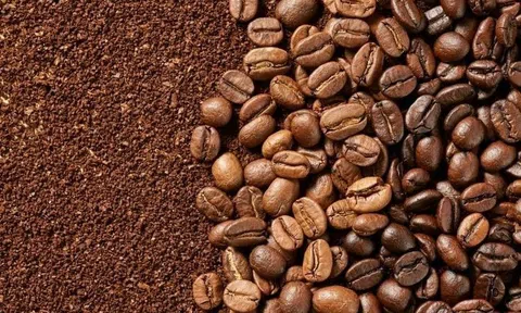 Chuỗi giá trị tuần hoàn thúc đẩy chuyển đổi xanh tại TP.HCM