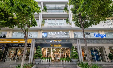 Gỗ An Cường ghi nhận lợi nhuận quý III/2026 cao nhất trong 5 năm