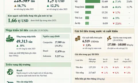 [Infographic] Hồ tiêu Việt Nam đạt kim ngạch 1,5 tỷ USD, tiến gần kỷ lục xuất khẩu